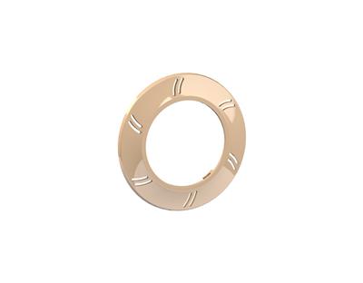 Ultradünne Frontblende Ring PZA 100 aus Edelstahl V4A